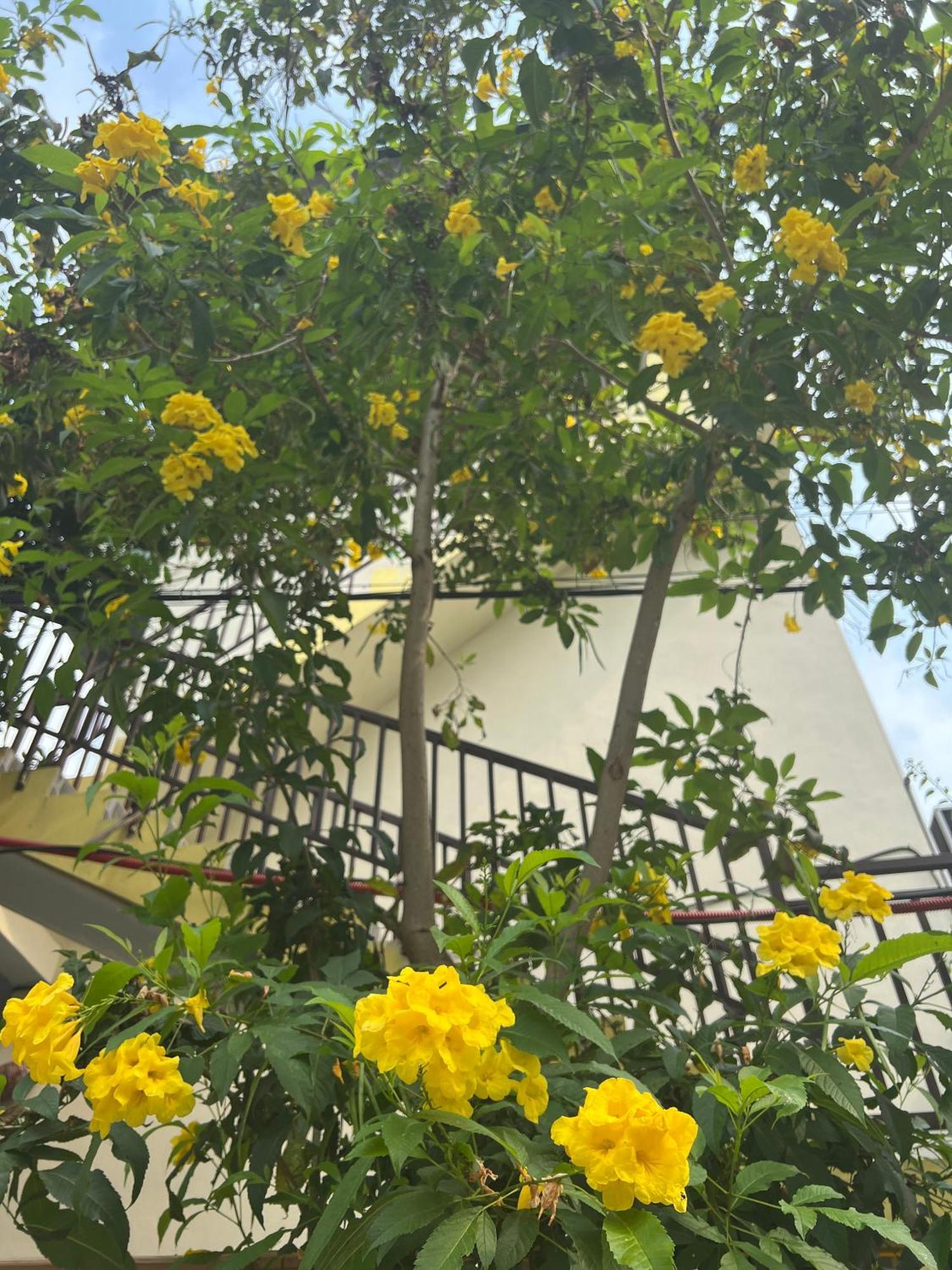 Hakuna Matata Homestay 마이쩌우 외부 사진